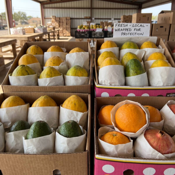 fresh-fruit-stand (1)